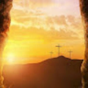 Meet your Posher, Legitgamereq